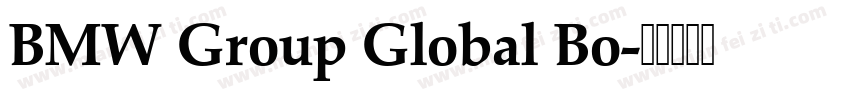 BMW Group Global Bo字体转换